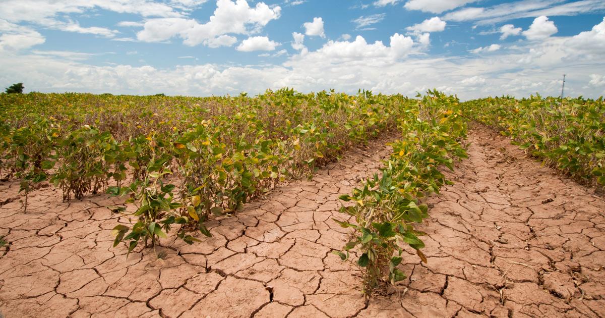 Climate Change and Agriculture: A Deepening Crisis and the Path Forward