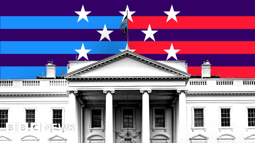 The 2024 Presidential Election: Key Issues, Candidates, and the Future of America