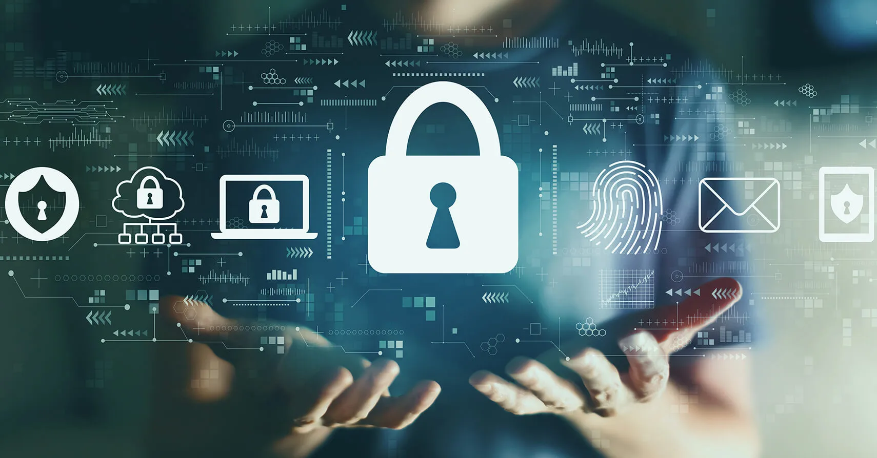 Privacy and Data Security in the Digital Age